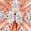 商品Suzy Levian | Sterling Silver CZ 3-Petal Flower Stud Earrings颜色Rose