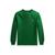商品第6个颜色Athletic Green, Ralph Lauren | Big Boys Jersey Long Sleeve T-shirt