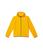 The North Face | Glacier Full Zip Hooded Jacket (Little Kids/Big Kids), 颜色Summit Gold