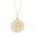 ADORNIA | Adornia Initial Circle Disc Necklace gold, 颜色yellow - p