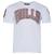商品Pro Standard | Pro Standard Bulls Team T-Shirt - Men's颜色White