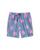 color Gingahm & Oleander, Vineyard Vines | Chappy Swim Trunks