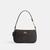 颜色: signature canvas/Gold/Walnut/Black, Coach | Nolita 19 In Signature Canvas