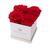 商品第2个颜色Scarlet, Eternal Roses | Lennox Small White Gift Box