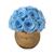 商品第5个颜色Light Blue, Rose Box NYC | Wooden Dream Half Ball of Roses