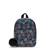 Kipling | Marlee, 颜色Star Flower GG