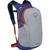 商品第1个颜色Silver Lining / Blueberry, Osprey | Osprey Daylite Backpack