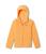 Columbia | Benton™ II Hoodie (Little Kids/Big Kids), 颜色Sunset Peach