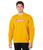 color Boxtab Nugget Gold, Levi's | Relaxed Graphic Crew
