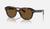 颜色: Polished Havana/Brown, Ray-Ban | ERIK