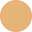color 2W Light Medium (Light Medium w/ Warm Golden Undertones), Estée Lauder | Double Wear - Radiant Concealer