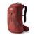 Gregory | Gregory Men's Citro 30 Pack, 颜色Brick Red