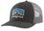 商品第3个颜色Forge Grey, Patagonia | Patagonia Fitz Roy Horizons Trucker Hat