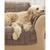 颜色: Sable, Macy's | Sure Fit Velvet Deluxe Sanitize Odor Release P