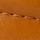 商品Madewell | SANCIA THE VENUS BELT颜色BROWN