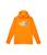 商品The North Face | Camp Fleece Pullover Hoodie (Little Kids/Big Kids)颜色Cone Orange