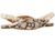 color Roccia/Modern Ivory Multi, Sam Edelman | Omina