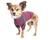 颜色: dark pink / gray, Dog Helios | Dog Helios  'Eboneflow' Mediumweight 4-Way-Stretch Flexible And Breathable Performance Dog Yoga T-Shirt