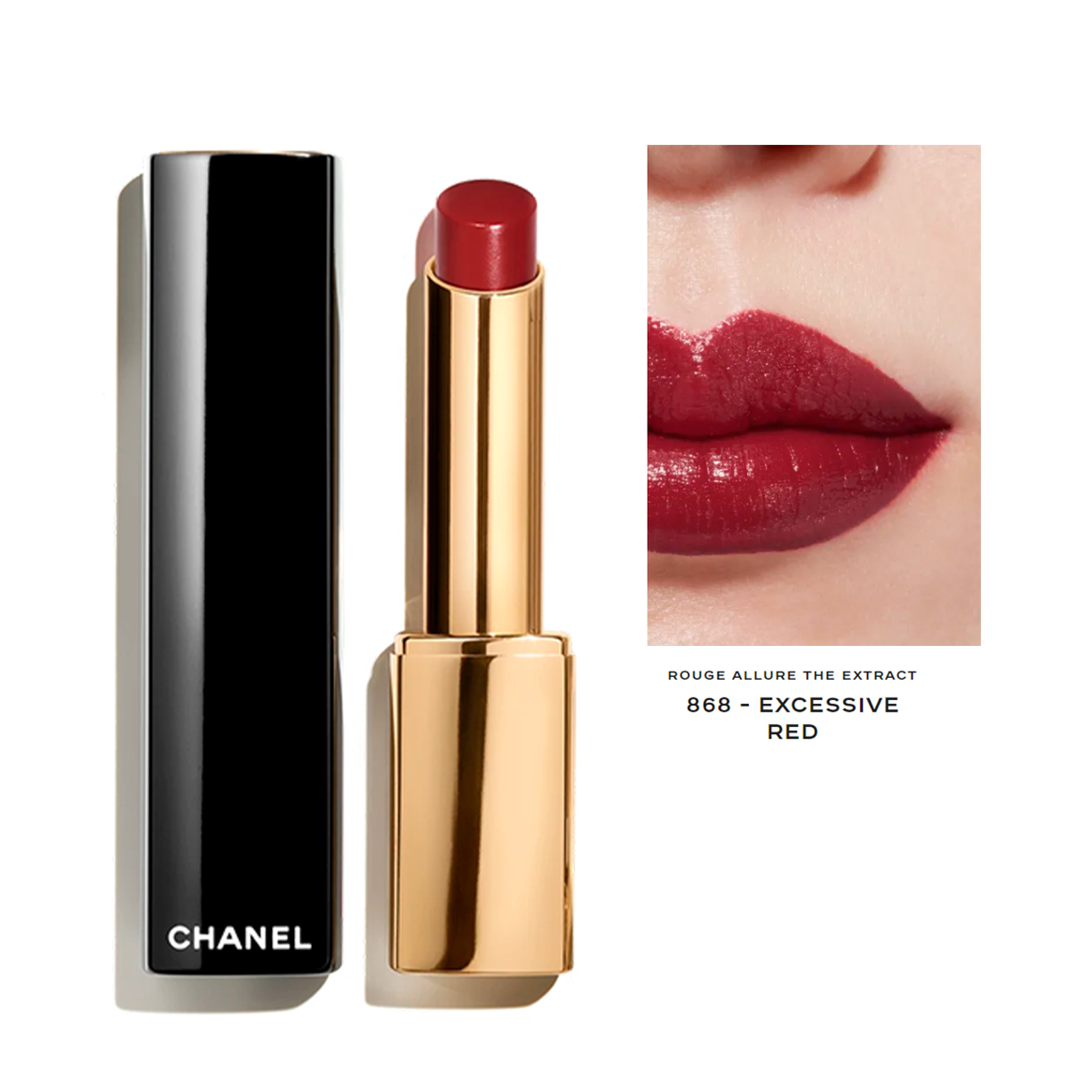 商品Chanel | Chanel香奈儿黑金细管唇膏口红2g 2022新品颜色868