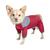 颜色: Red, Dog Helios | 'Tail Runner' Lightweight Full Body Performance Dog Track Suit