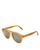 color Honey/Green, Celine | Men's Round Sunglasses, 55mm