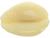 color Puka Shell, Crocs | Jibbitz Symbols & Saying