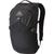 Gregory | Nano 20L Plus Backpack, 颜色Obsidian Black