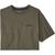 Patagonia | Roy Icon Responsibili-Tee, 颜色Garden Green