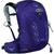 商品第4个颜色Violac Purple, Osprey | Osprey Women's Tempest 20 Backpack
