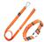 颜色: orange, Pet Life | Pet Life  'Advent' Outdoor Series 3M Reflective 2-in-1 Durable Martingale Training Dog Leash and Collar