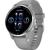 商品Garmin | Garmin Venu 2 Plus Watch w/ Silicone Band颜色Silver