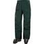 商品Helly Hansen | Ridge Infinity Shell Pant - Men's颜色Darkest Spruce