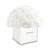 商品第1个颜色Pure White, Rose Box NYC | 35-Piece Rose Box