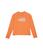 商品第2个颜色Dusty Coral Orange, The North Face | Amphibious Long Sleeve Sun Tee (Little Kids/Big Kids)