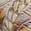 color Wheat Multi, Sam Edelman | Gerianne Flip Flop
