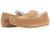 color New Camel, Vince | Gibson
