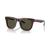 商品Giorgio Armani | Men's Sunglasses, AR817149-X颜色Red Havana