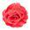 颜色: rosa, PHILOSOPHY di LORENZO SERAFINI | Lycra 花卉胸针