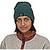color Hemlock Green, Patagonia | Patagonia Everyday Beanie