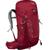 颜色: Cosmic Red, Osprey | Talon 33L Backpack