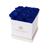 商品第7个颜色Azzure, Eternal Roses | Lennox Medium White Gift Box