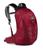 Osprey | Osprey Talon Jr Boy's Hiking Backpack, Stealth Black, 颜色Cosmic Red