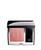 颜色: 339 Grège (A bold rosy nude), Dior | Rouge Blush