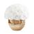 商品第2个颜色Pure White, Rose Box NYC | Wooden Premium Half Ball of Roses