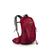 Osprey | Osprey Talon 11 Backpack, 颜色Cosmic Red