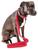 颜色: red, Pet Life | Pet Life  'Aero Mesh' 2-In-1 Breathable and Adjustable Dual-Sided Mesh Dog Leash and Collar