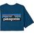 Patagonia | 男士短袖T恤 多款配色, 颜色Wavy Blue