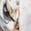 color Neutral, Vince Camuto | Butterfly Garden Print Square Scarf