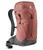 Deuter | AC Lite 24, 颜色Redwood/Ivy