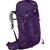 Osprey | Tempest 30L Backpack - Women's, 颜色Violac Purple